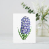 Hyacinth Vintage Botanical Postcard ポストカード (スタンド正面)