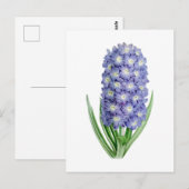Hyacinth Vintage Botanical Postcard ポストカード (正面/裏面)