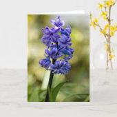 Hyacinthsの挨拶状 カード (黄色い花)