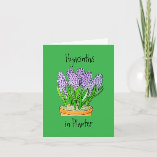 Hyacinths in Planter Blank Greeting Card サンキューカード (正面)