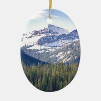 HyaliteはBozeman、モンタナを最高にします セラミックオーナメント