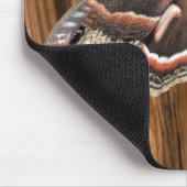 Hyalophoraのcecropiaガ マウスパッド (コーナー)