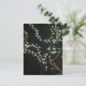 Hyannis Lights Postcard ポストカード (スタンド正面)