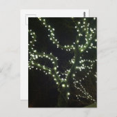 Hyannis Lights Postcard ポストカード (正面/裏面)