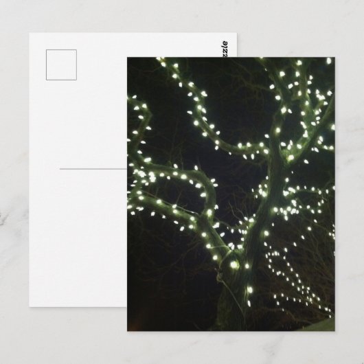 Hyannis Lights Postcard ポストカード (正面/裏面)