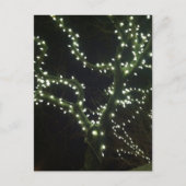 Hyannis Lights Postcard ポストカード (正面)