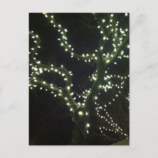 Hyannis Lights Postcard ポストカード (正面)