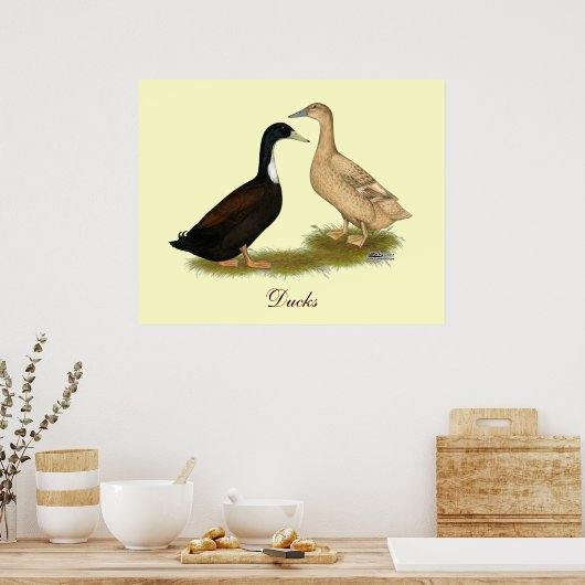 Hybrid Laying Duck ポスター (キッチン)
