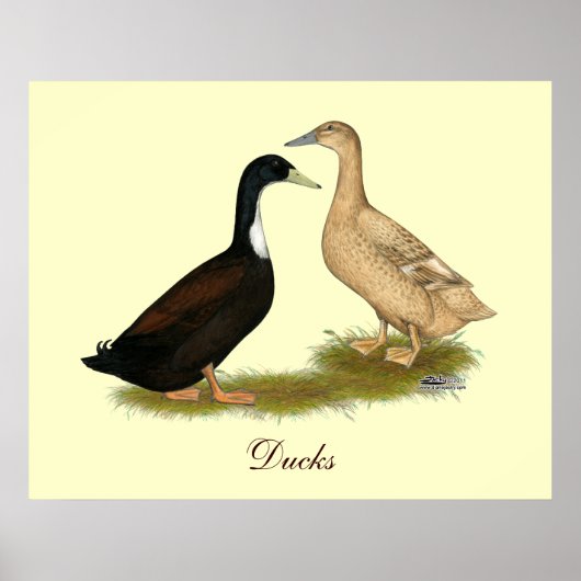 Hybrid Laying Duck ポスター (正面)