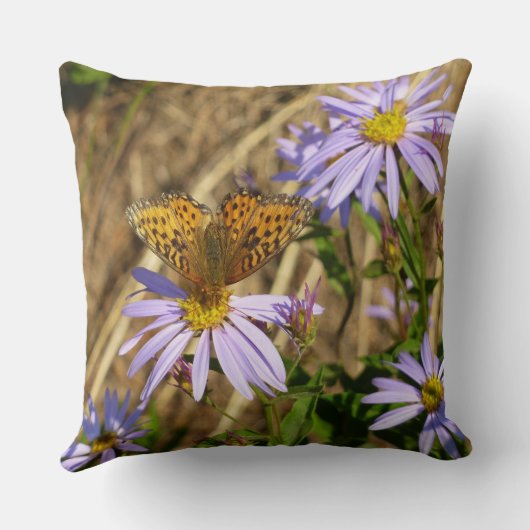 Hydaspe Fritillary on Purple Aster Flowers クッション (裏面)