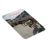 hydra island horsesビュー冷蔵庫用マグネット マグネット (右側)