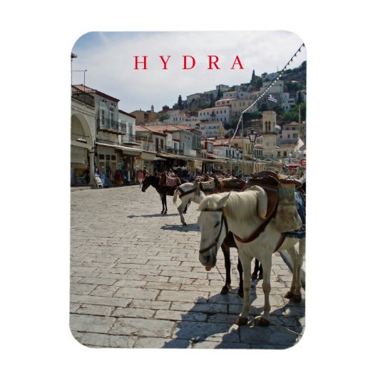 hydra island horsesビュー冷蔵庫用マグネット マグネット (縦)