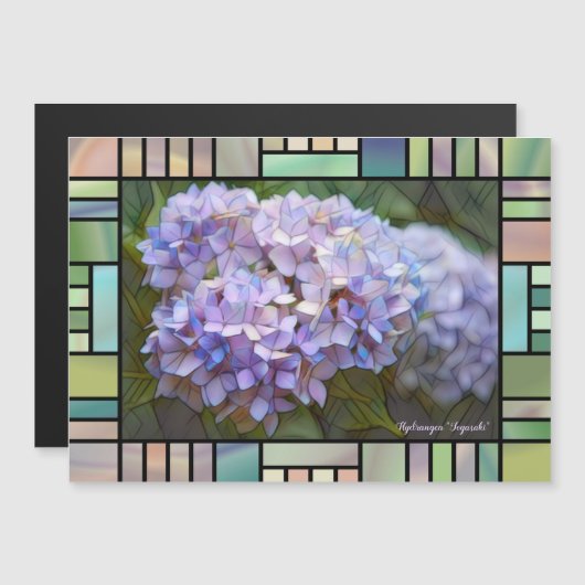 Hydrangea (正面/裏面)