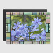 Hydrangea (正面/裏面)