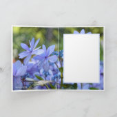 Hydrangea カード (内部)