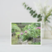 Hydrangea ポストカード (スタンド正面)