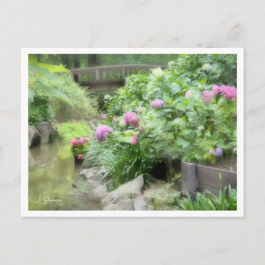 Hydrangea ポストカード (正面)