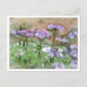 Hydrangea ポストカード (正面)