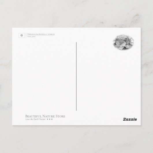 Hydrangea ポストカード (裏面)