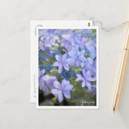 Hydrangea ポストカード