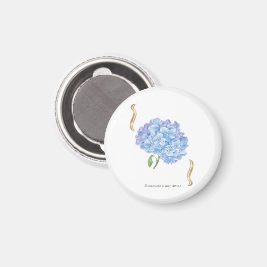 Hydrangea Bloom – Vintage Botanical Flower  マグネット (正面/裏面)