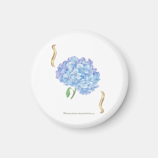 Hydrangea Bloom – Vintage Botanical Flower マグネット (正面)