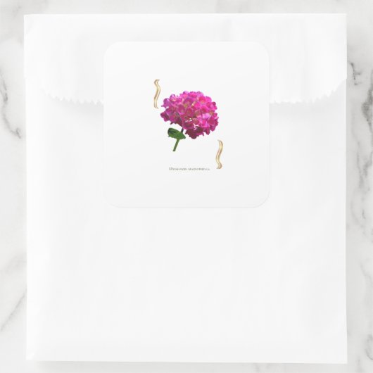 Hydrangea Bloom – Vintage Botanical Fuchsia スクエアシール (バッグ)