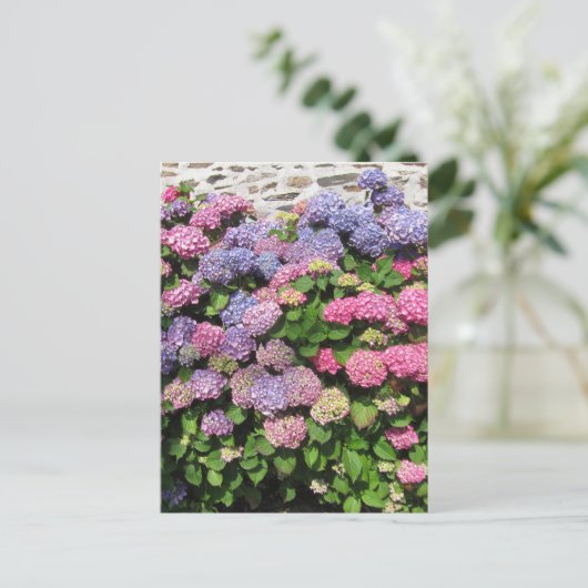 Hydrangea bush Postcard ポストカード (スタンド正面)