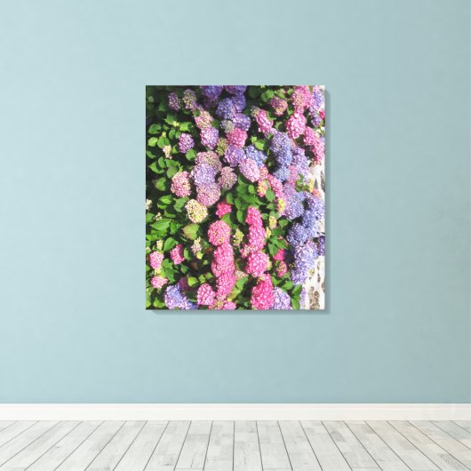 Hydrangea bush Toile tendue キャンバスプリント (インサイチュ (ウッドフロア))