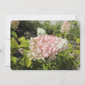 Hydrangea Grandiflora シーズンカード (正面)