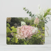 Hydrangea Grandiflora シーズンカード (スタンド正面)