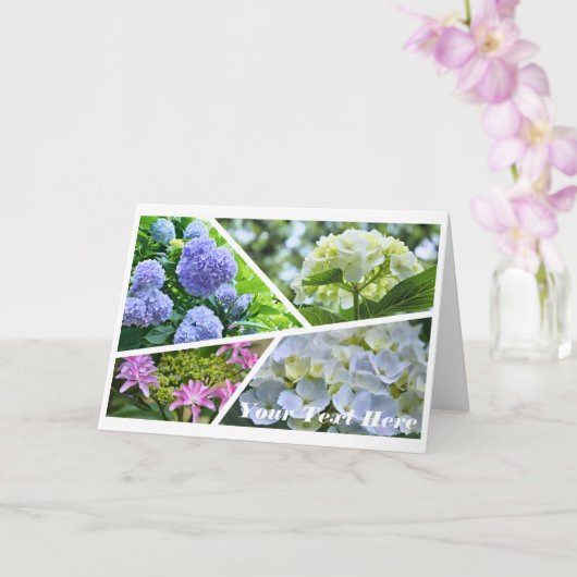 Hydrangea [Greeting Card] カード (蘭)