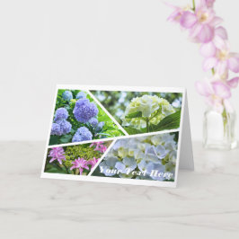 Hydrangea [Greeting Card] カード
