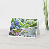 Hydrangea [Greeting Card] カード (正面)