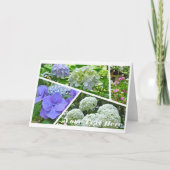 Hydrangea [Greeting Card] カード (正面)