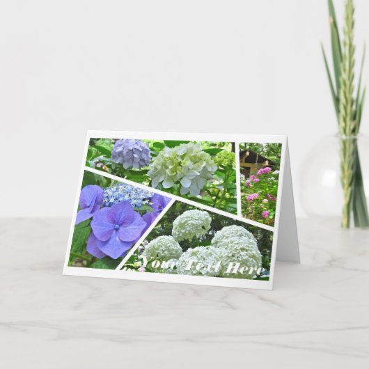Hydrangea [Greeting Card] カード (正面)