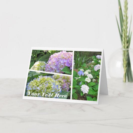 Hydrangea [Greeting Card] カード (正面)