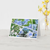 Hydrangea [Greeting Card] カード (黄色い花)
