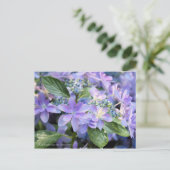 Hydrangea hybrida 'Dance Party' [Postcard] ポストカード (スタンド正面)
