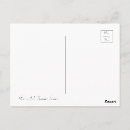 Hydrangea 'Konpeito' [Postcard] ポストカード (裏面)