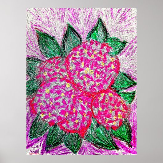 Hydrangea macrophylla ポスター (正面)