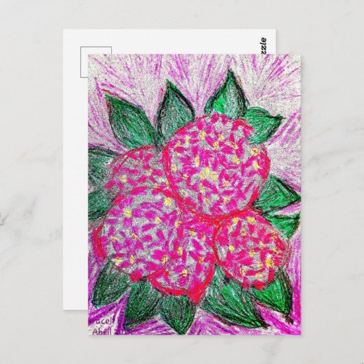 Hydrangea macrophylla ポストカード (正面/裏面)