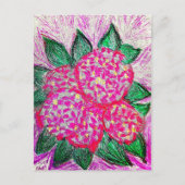 Hydrangea macrophylla ポストカード (正面)