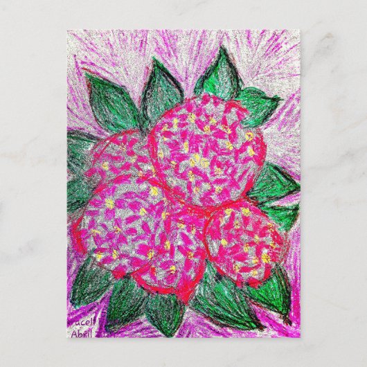 Hydrangea macrophylla ポストカード (正面)