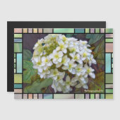 Hydrangea quercifolia [Magnet Card] (正面/裏面)
