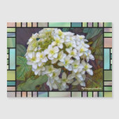 Hydrangea quercifolia [Magnet Card] (正面)