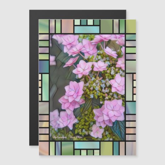 Hydrangea 'Star Mine'  [Magnet Card] (正面/裏面)