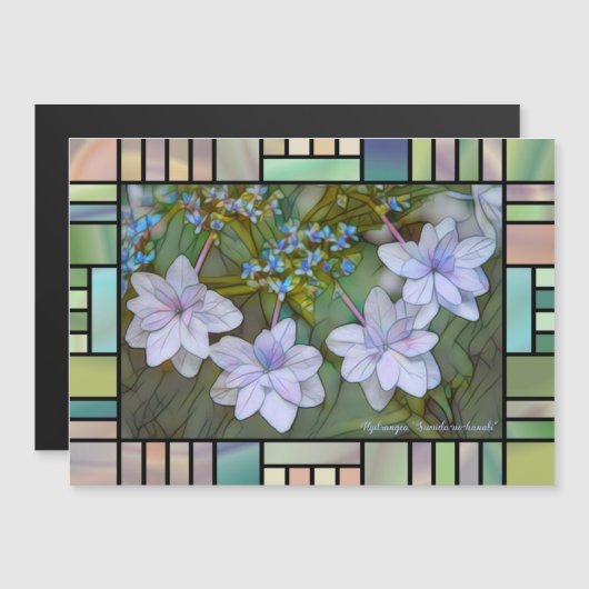 Hydrangea 'Sumida-no-hanabi'  [Magnet Card] (正面/裏面)