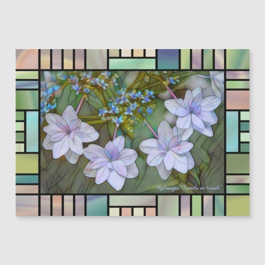 Hydrangea 'Sumida-no-hanabi'  [Magnet Card] (正面)