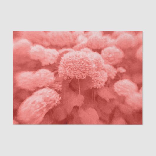 Hydrangeas Coral White エレガントヴィンテージフローラ 薄葉紙 (正面)